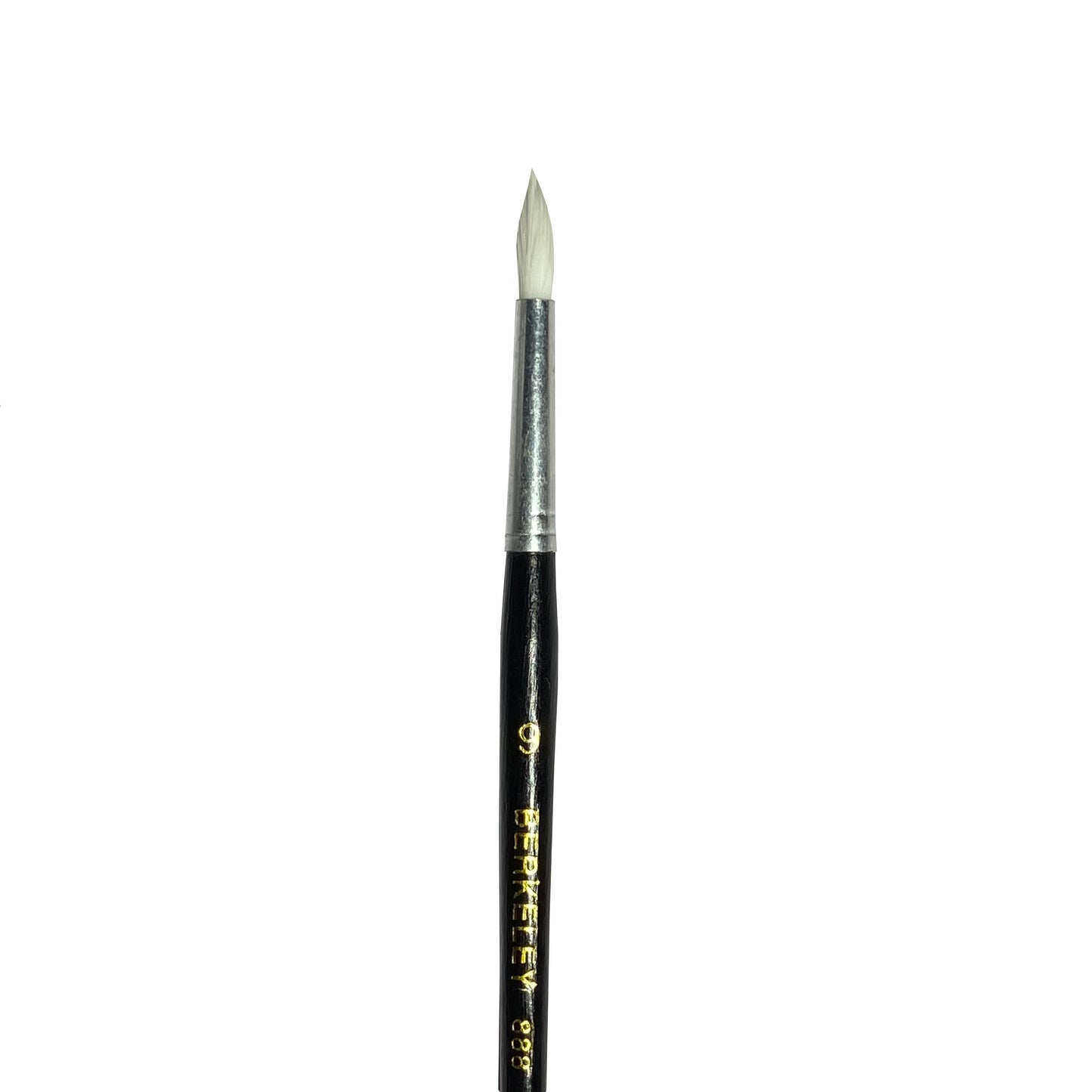 Berkeley Brush 888 is a round brush, commonly used for oil and acrylic paint.
